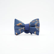 Renard Blu