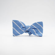 Azure Stripe